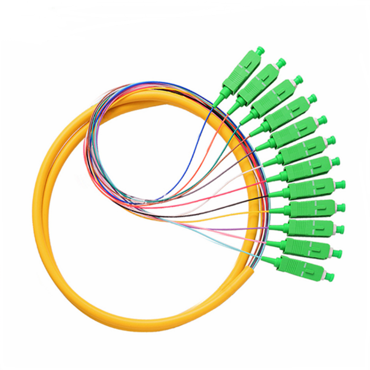 12 Fibers Bundle SC/APC SM Fiber Pigtail